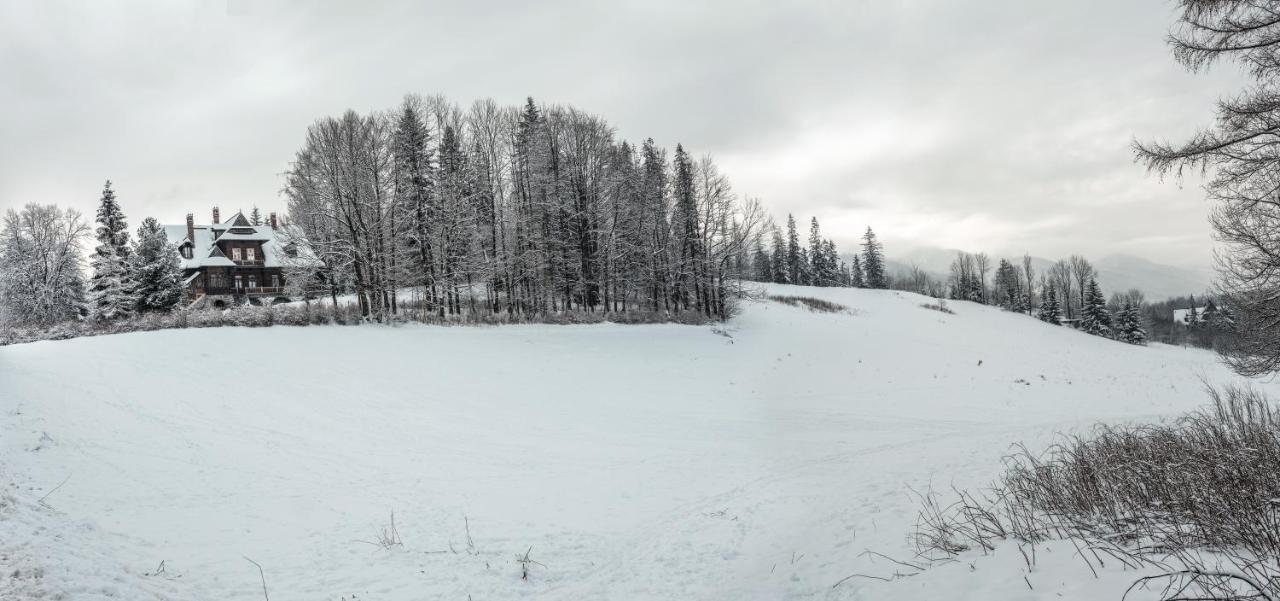 Zakoznami- Willa Wywczas Zakopane Zewnętrze zdjęcie